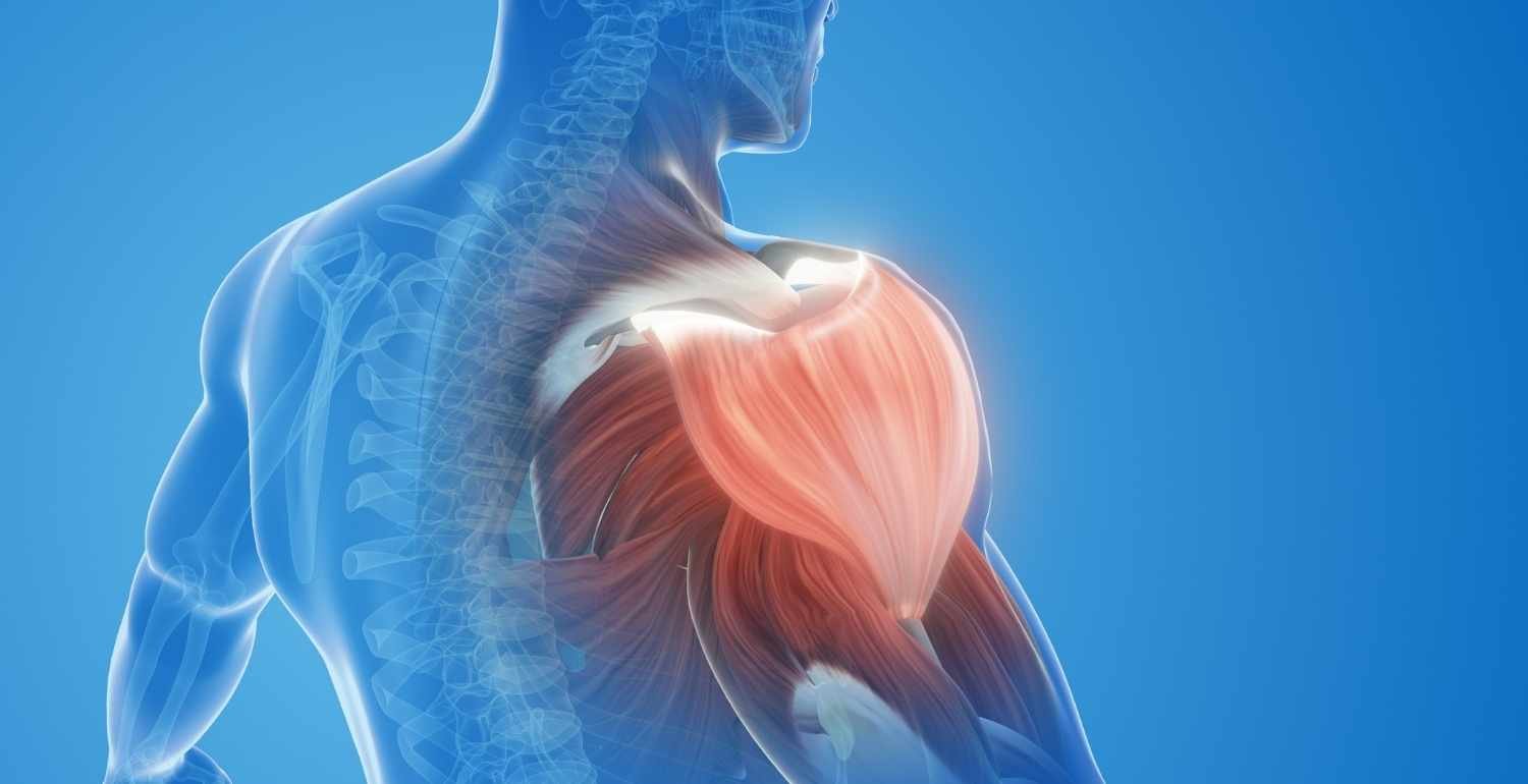 What Is Frozen Shoulder